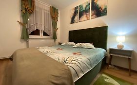 Apartament Dinu Toplita